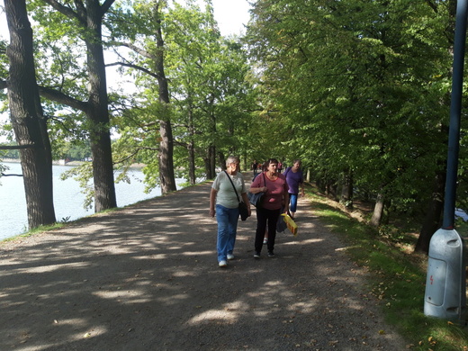 20180921_151659.jpg