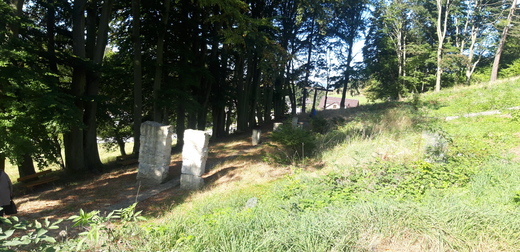 20200918_102029.jpg