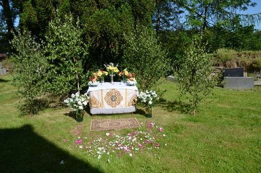 DSC_0003.JPG
