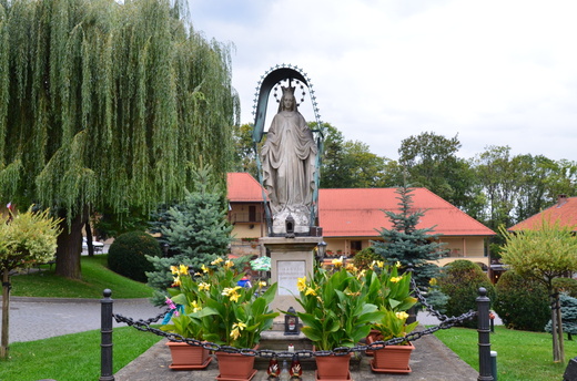 DSC_0040.JPG