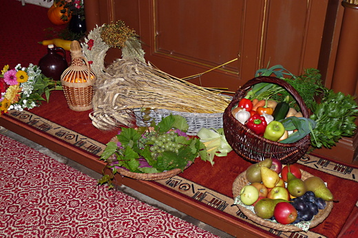 P1130615.JPG