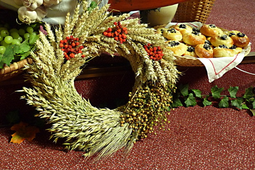 P1130663.JPG