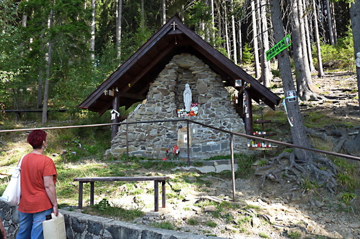 P1140917.JPG