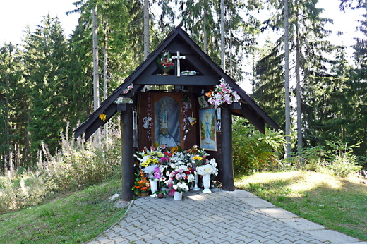 P1140923.JPG