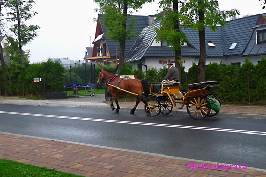 P1150005.JPG
