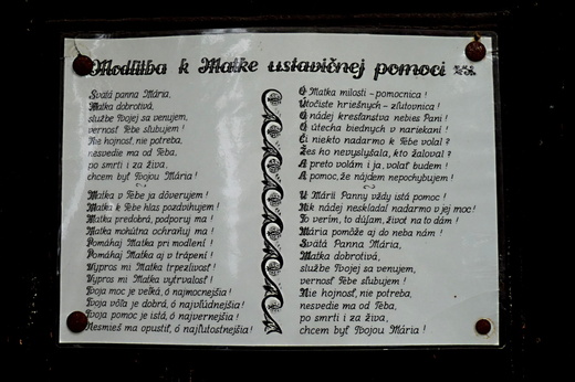 P1150057.JPG