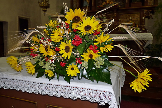 P1150236.JPG