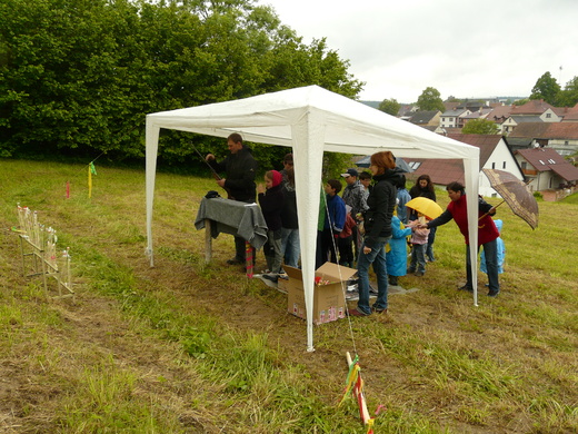 P1230146.JPG
