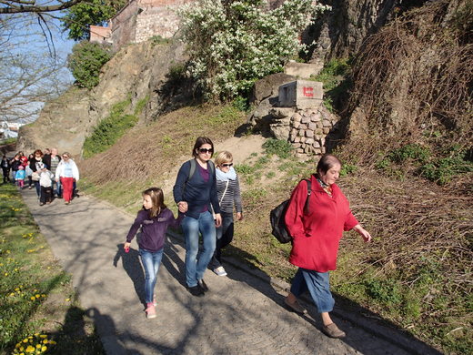 P4251463.JPG