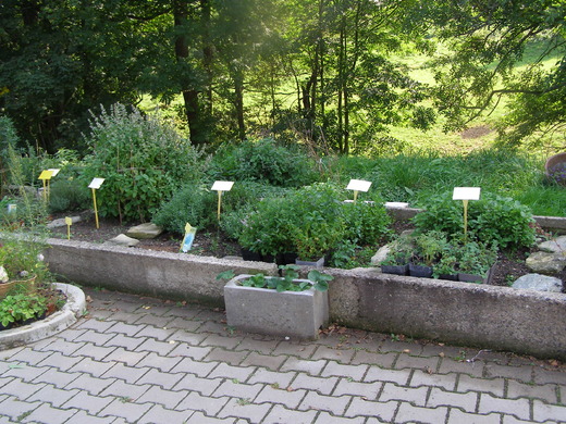 P9160071.JPG
