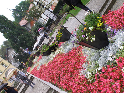 P9170130.JPG